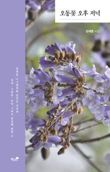 오동꽃 오후 저녁