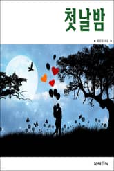 첫날밤 표지 이미지