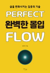 완벽한 몰입 표지 이미지