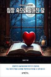 심장 속으로 떨어진 달 표지 이미지