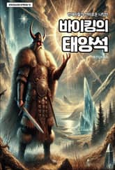 바이킹의 태양석 표지 이미지