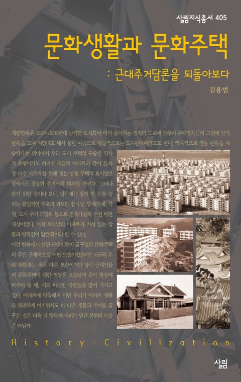 문화생활과 문화주택 : 근대주거담론을 되돌아보다 표지 이미지