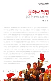 문화대혁명 - 중국 현대사의 트라우마 표지 이미지
