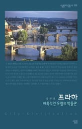 프라하 : 매혹적인 유럽의 박물관 표지 이미지
