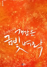 개 같은 금빛 벼락 표지 이미지