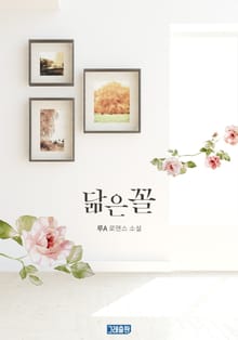닮은꼴