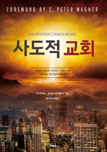 사도적 교회