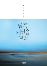 남쪽 계단을 보라 표지 이미지