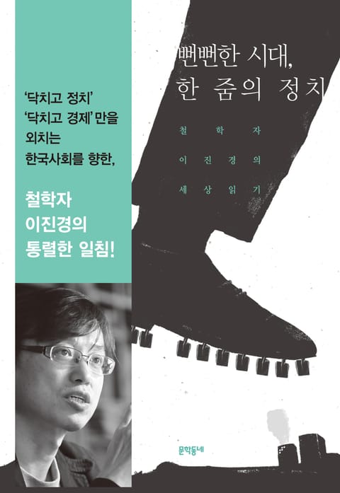 뻔뻔한 시대 한 줌의 정치 표지 이미지