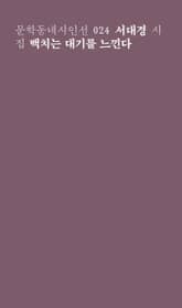 백치는 대기를 느낀다 표지 이미지