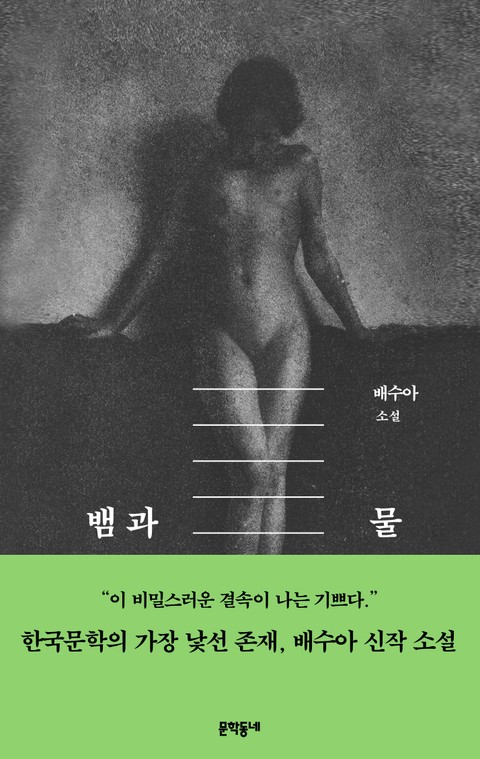 뱀과 물 표지 이미지