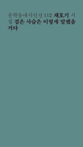 검은 사슴은 이렇게 말했을 거다 표지 이미지