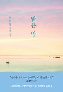 밝은 밤