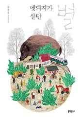 멧돼지가 살던 별 표지 이미지