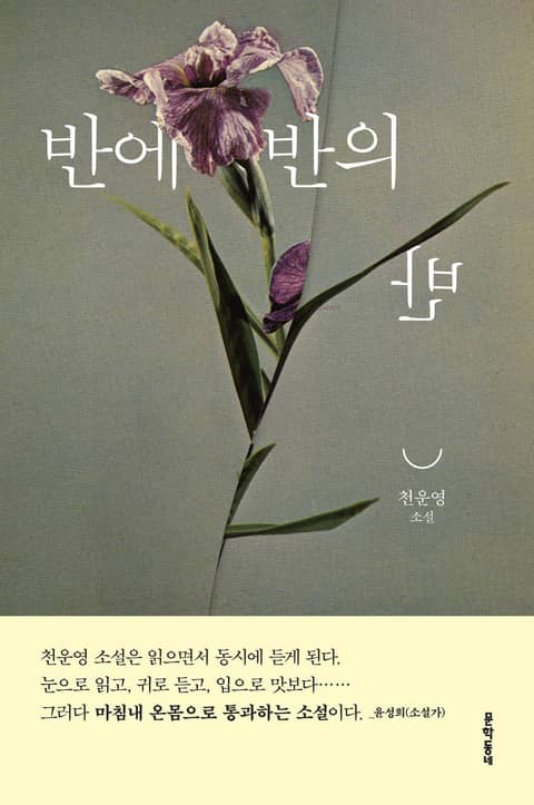 반에 반의 반 표지 이미지