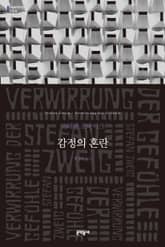 감정의 혼란 표지 이미지
