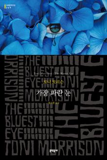 가장 파란 눈