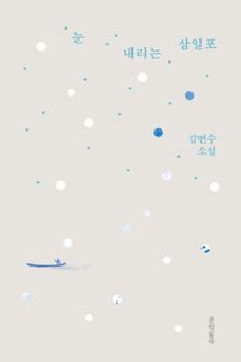 눈 내리는 삼일포