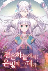 검은 하늘에서 은빛의 그대가 표지 이미지