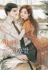 어쩌다 하룻밤 표지 이미지