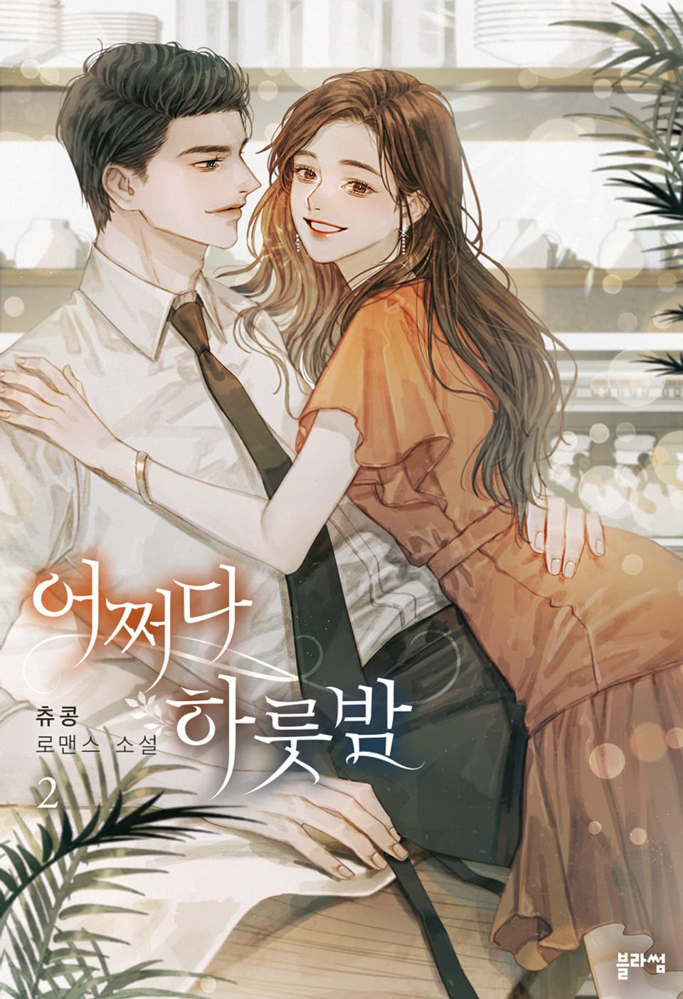 어쩌다 하룻밤 2권 (완결)