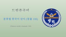 드림중국어 분류별 중국어 단어 (동물 100) - Chinese words (Animals 100)