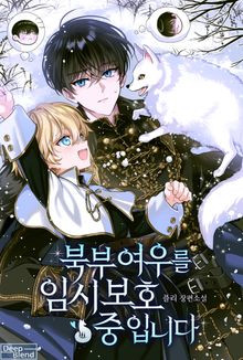 북부 여우를 임시 보호 중입니다(15세 이용가)