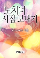 노처녀 시집 보내기 표지 이미지