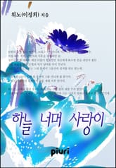 하늘 너머 사랑이 표지 이미지