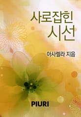 사로잡힌 시선 표지 이미지