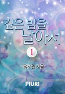 깊은 밤을 날아서