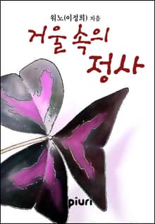 거울 속의 정사