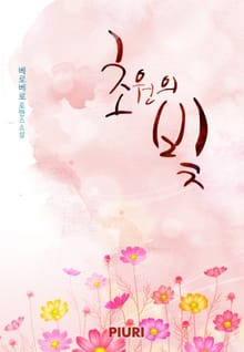 초원의 빛
