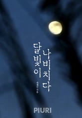 달빛이 나비치다 표지 이미지