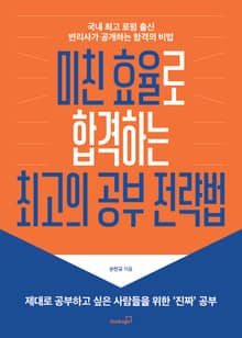 미친 효율로 합격하는 최고의 공부 전략법