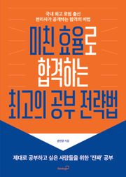 미친 효율로 합격하는 최고의 공부 전략법