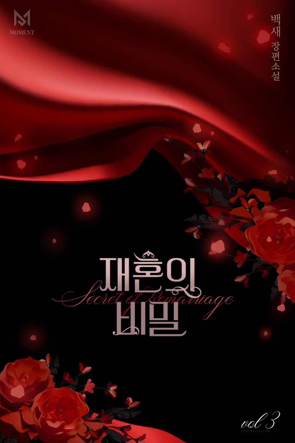 재혼의 비밀 3권 (완결)