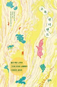 고목 원더랜드