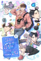 회귀한 동생의 감정을 따라갈 수가 없다 표지 이미지