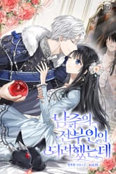 남주의 전부인이 되려 했는데 표지 이미지