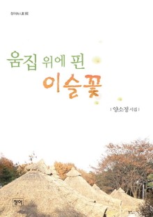 움집 위에 핀 이슬꽃