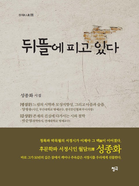 뒤뜰에 피고 있다 표지 이미지