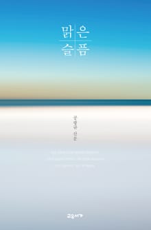 맑은 슬픔