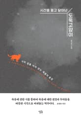 시간을 물고 달아난 도둑고양이 표지 이미지