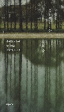 인생길 중간에 거니는 시의 숲