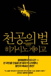 천공의 벌 표지 이미지