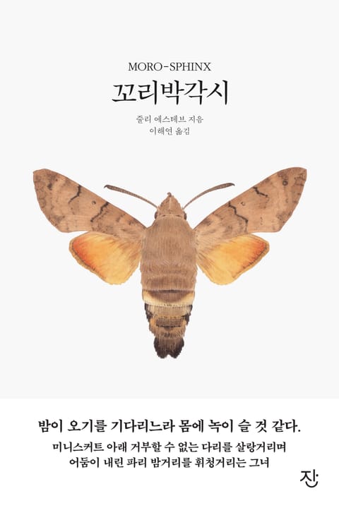 꼬리박각시 표지 이미지