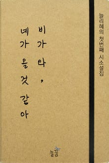 비가 와, 네가 올 것 같아