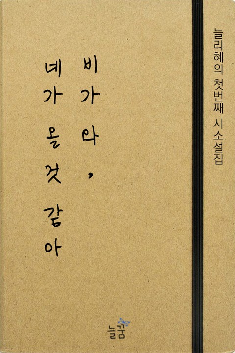 비가 와, 네가 올 것 같아 표지 이미지