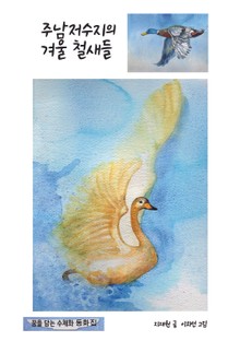 주남저수지의 겨울 철새들